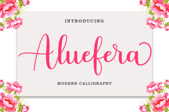 Aluefera Script: A Premium Font for Web Design