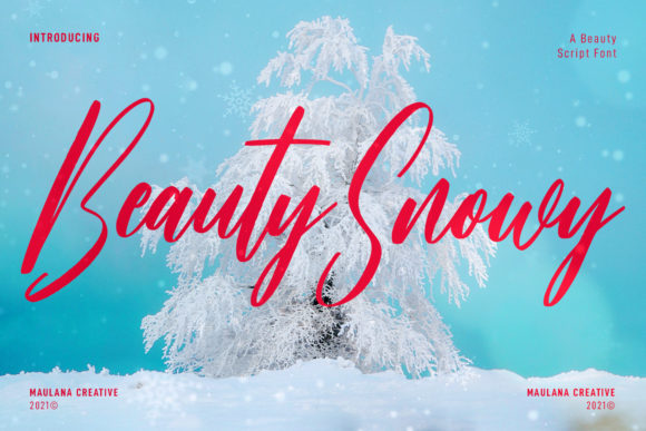 Beauty Snowy Script: A Bold Display Typeface for Web