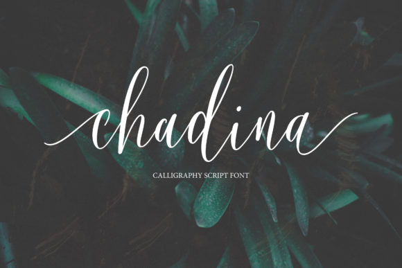 Chadina Script: A Modern Typeface for Web Design