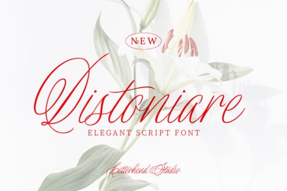 Distoniare Script: A Designer's Real-World Review
