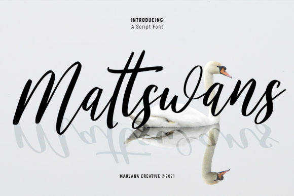 Mattswans Script: A Review for Editorial Design