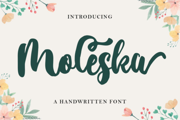 Moleska: A Playful Handwritten Font for Web Design