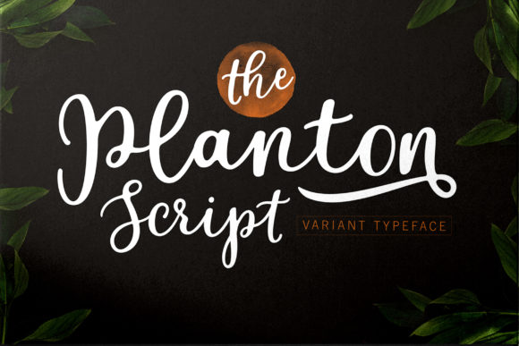Planton Script: The Hand-Lettered Typeface for Marketers