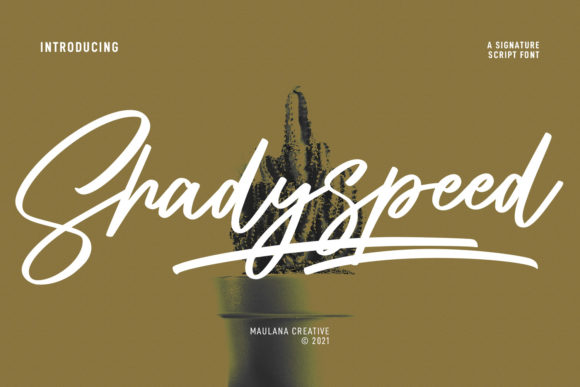 Shadyspeed Script Font: A Web Designer’s Review