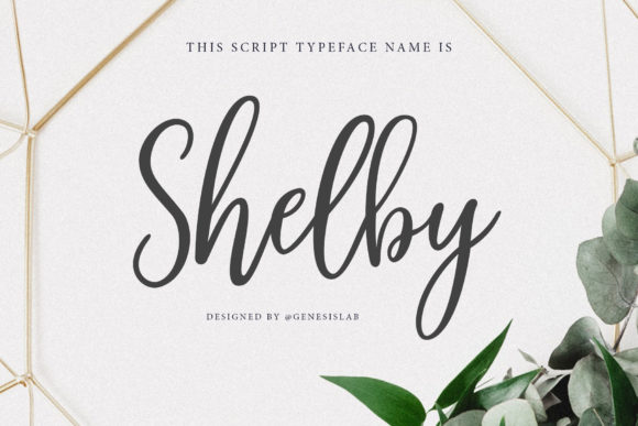 Shelby Script: A Modern Typeface for Web Design